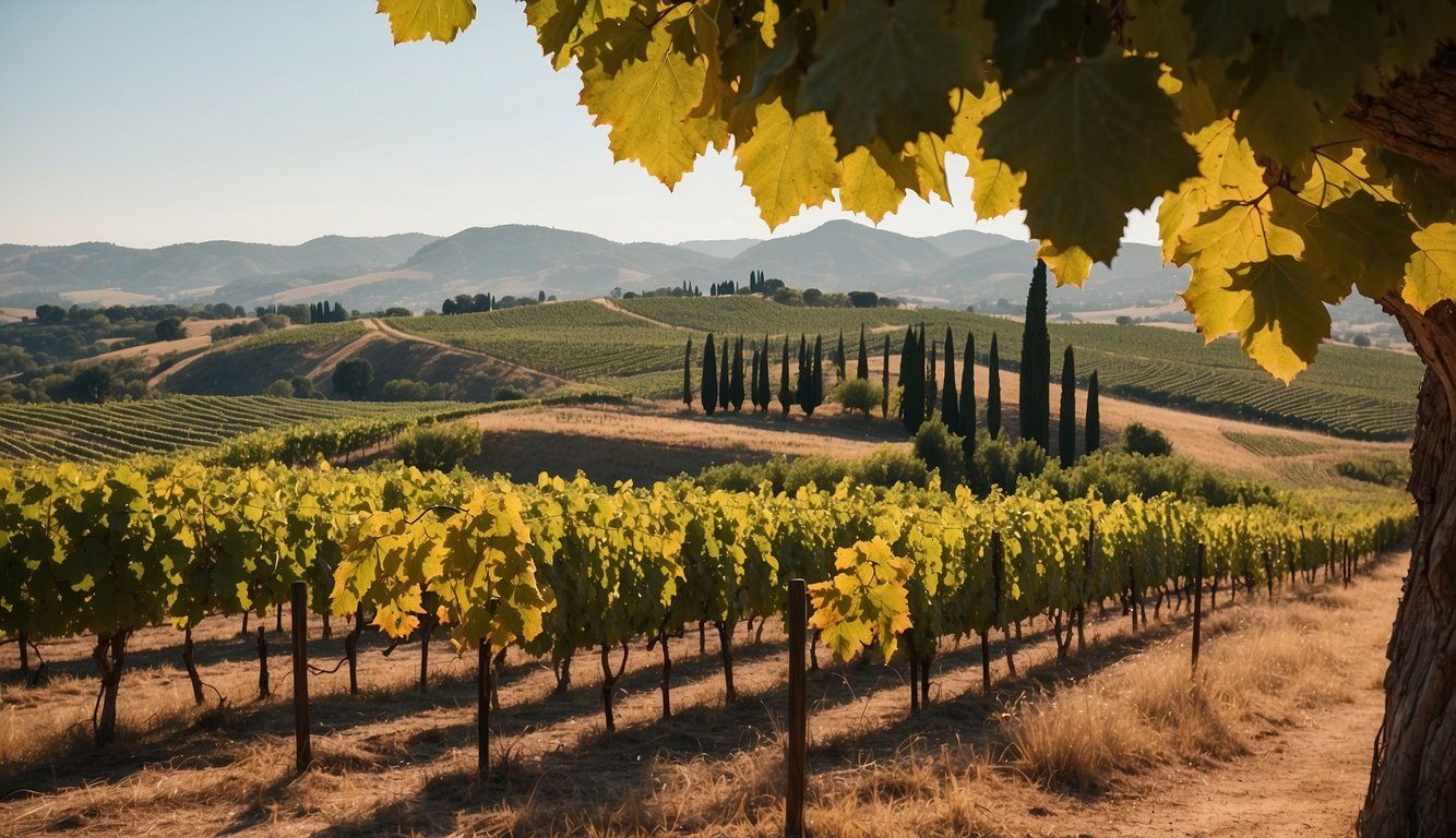 A vineyard nestled in rolling hills, with ancient ruins in the background and a modern winery in the foreground, surrounded by lush grapevines and bountiful grape clusters
