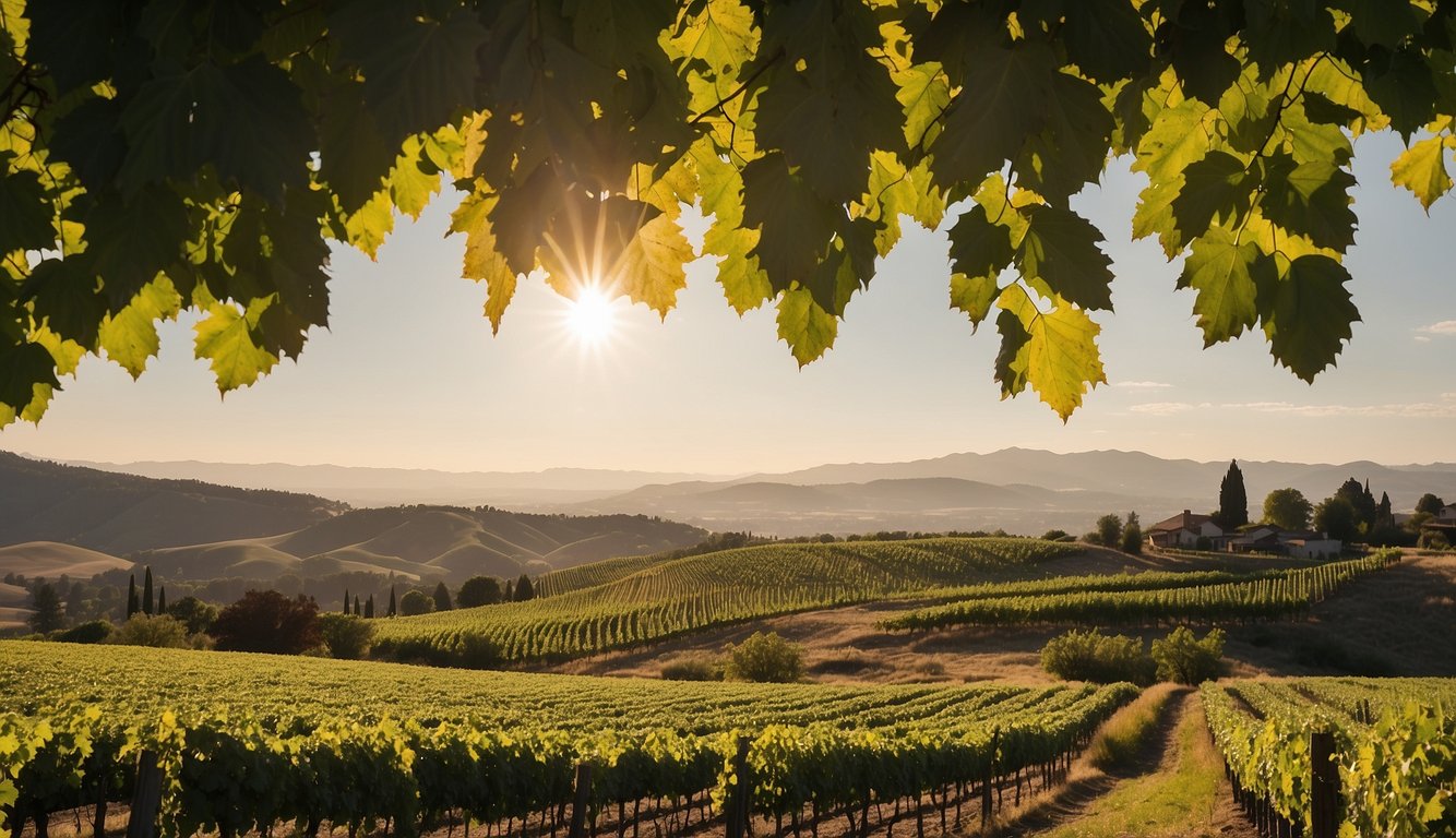 Lush green vines stretch across rolling hills under the warm Washington sun, with the iconic Col Solare winery standing proudly in the background