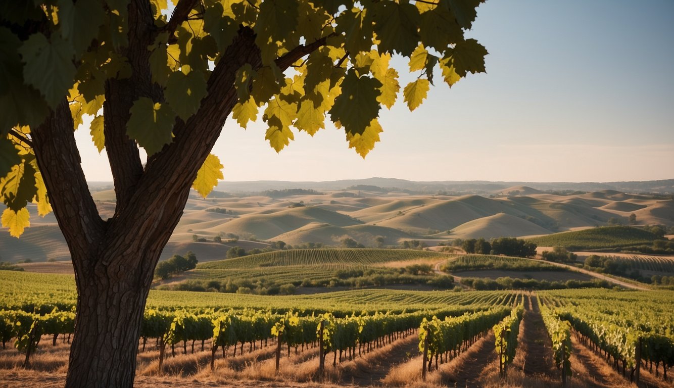 Rolling hills dotted with lush vineyards, rows of grapevines stretching towards the horizon. A rustic winery nestled among the vines, with a backdrop of the South Dakota landscape